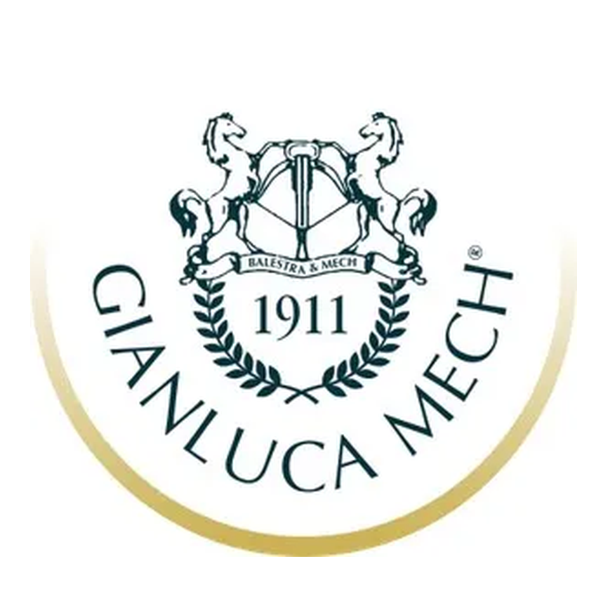 GIANLUCA MECH